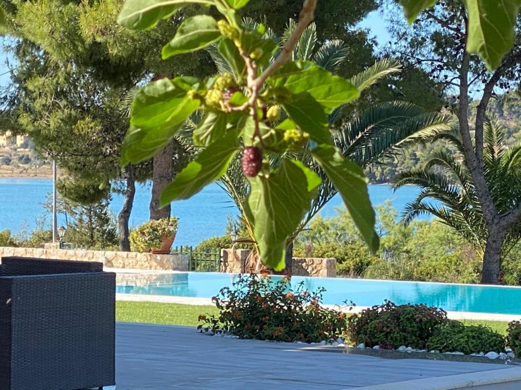 Villa Anthia Porto Heli Exterior photo